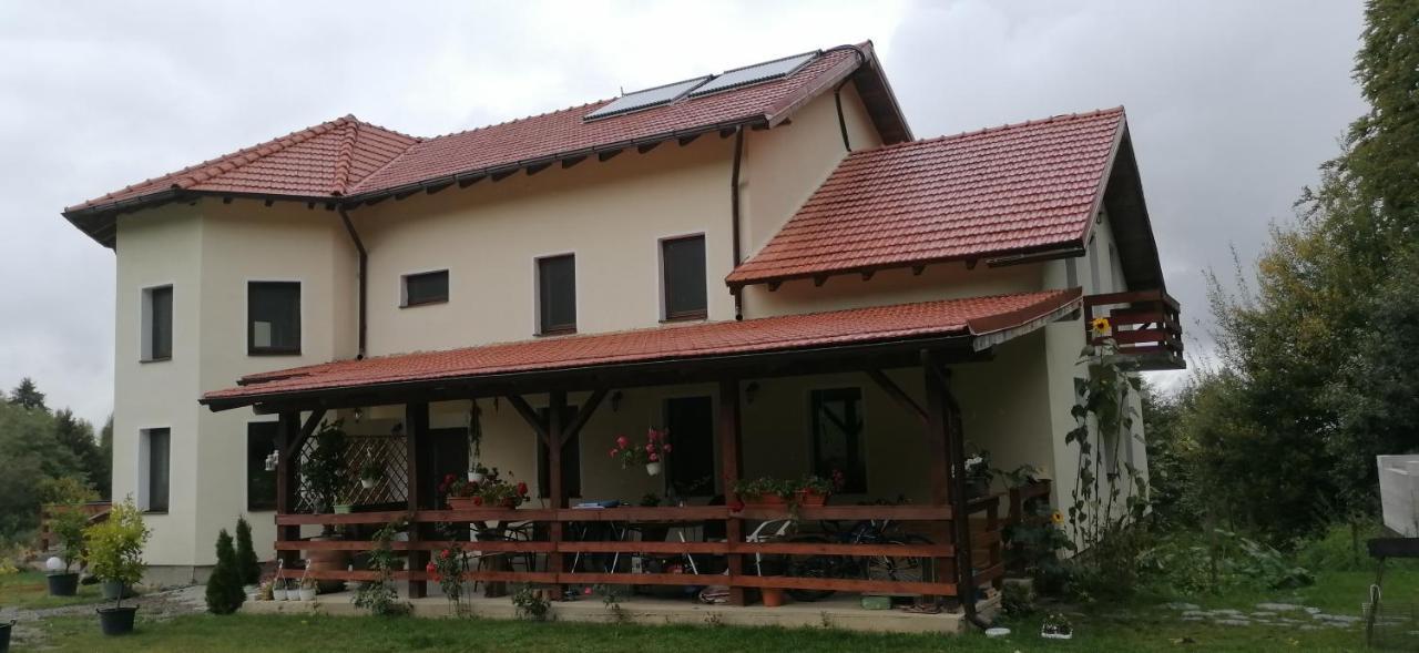 Pensiunea Rozelor Statiunea Climaterica Sambata Simbata de Sus Ngoại thất bức ảnh